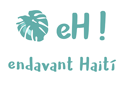 EndavantHaiti Logo